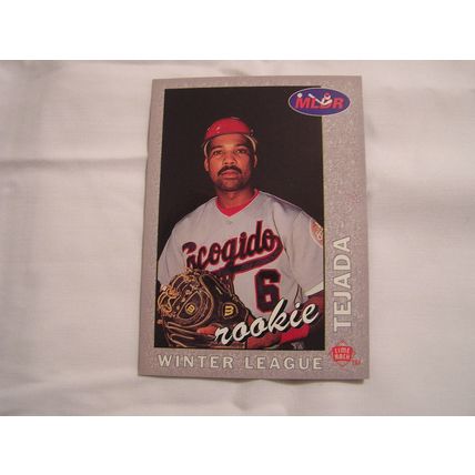 Wilfredo Tejada 1993 Lime Rock Winter League GOLD NO. 4 ROOKIE