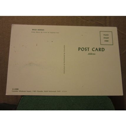 AMERICAN WILD HORSES.. unused postcard =