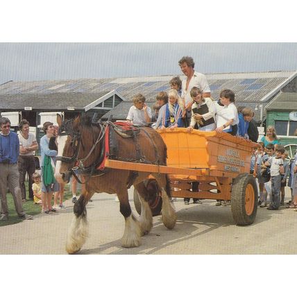 Childrens Cart Rides at Norfolk Shire Centre Horse Cromer Postcard