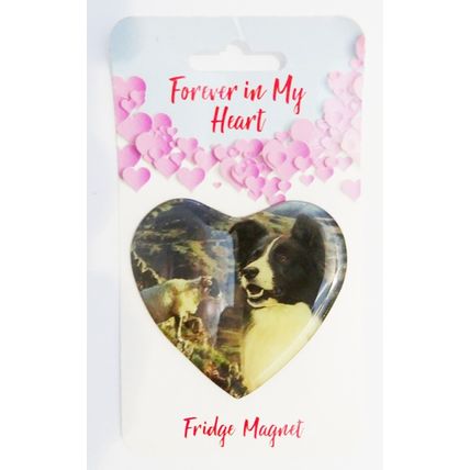 BORDER COLLIE HEART SHAPED ACRYLIC FRIDGE MAGNET