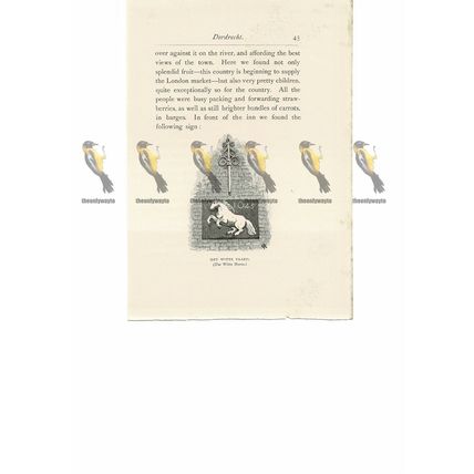Het Witte Paard, Dort (Dordrecht), Holland, Book Illustration (Print), 1889
