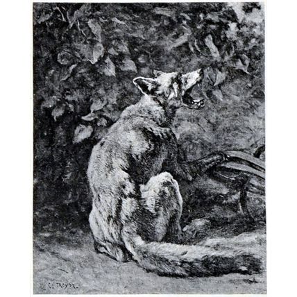REYNARD 1893 Contant Troyon - fox PRINT