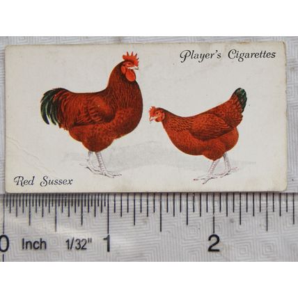 1931 John Player & Sons Poultry No. 44 Red Sussex