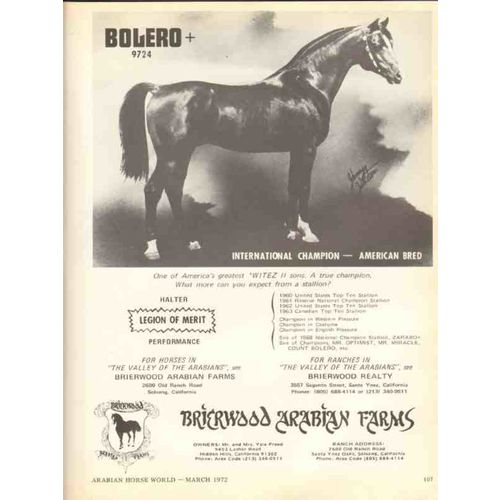 brierwood arabian farms 1972 bolero santa ynez solvang ca vintage ad