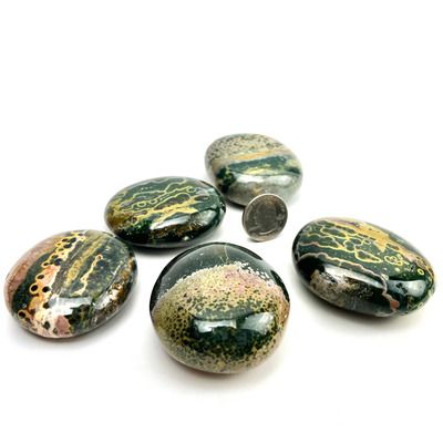 Veinless Ocean Jasper | Palm Stone | 50-60mm | Madagascar[ ]