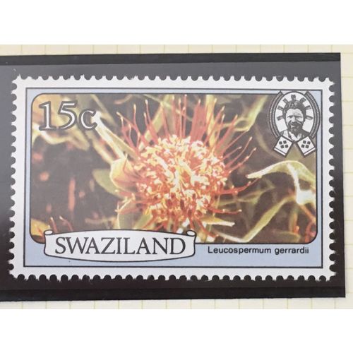 Swaziland 1980 Flowers 15c Leucospermum gerrardii Unmounted Mint NM SG348A stamp