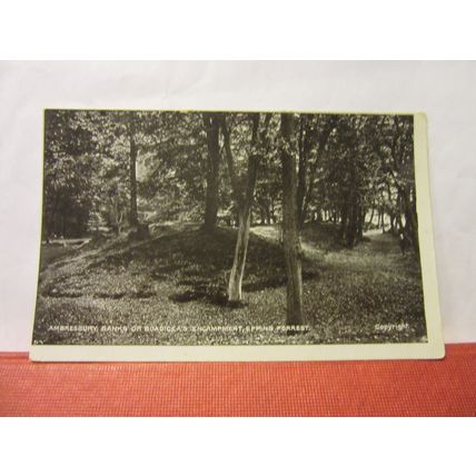 AMBBRESBURY BANKS, EPPING FOREST, ESSEX. unused antique postcard by G D & D =