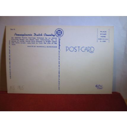 AMISH FAMILY BUGGY, DUTCH COUNTRY, PENNA, PENNSYLVANIA, USA unused postcard #