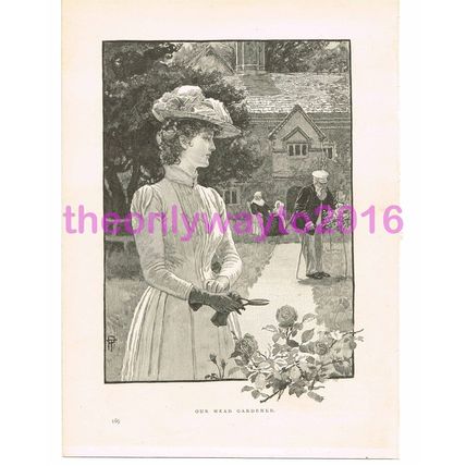 Our Head Gardener, Victorian Art, Book Illustration (Print), 1890