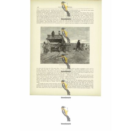 Discharging Guano Wagons, Chincha Islands, Peru, Book Illustration, c1880