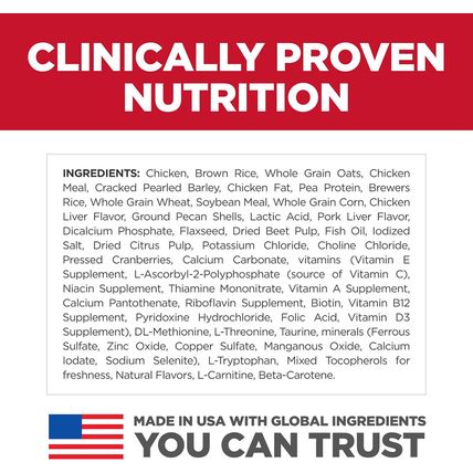 Hill'S Science Diet Puppy, Large Breed Puppy Premium Nutrition, Dry Dog Food, Ch