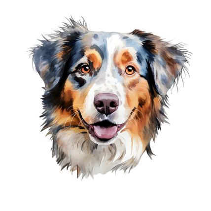 Australian Shepherd Dog (3) Poster Canvas Movie Film Print A0 A1 A2 A3 A4 A5 A6