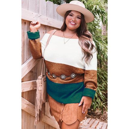 Brown Plus Size Ribbed Trim Color Block Sweater