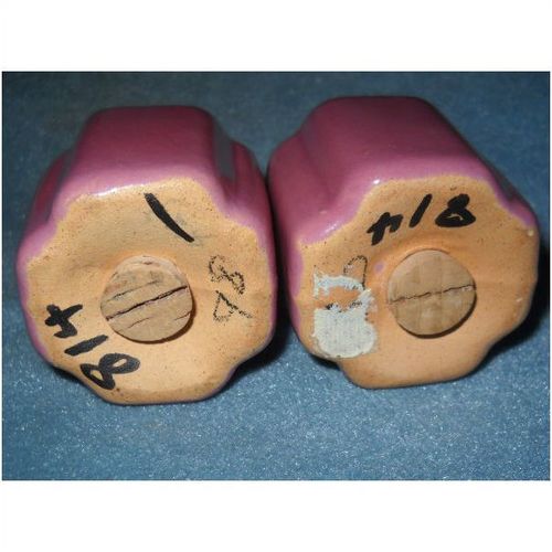 Pair Rosemeade Pottery Salt Pepper Shakers North Dakota