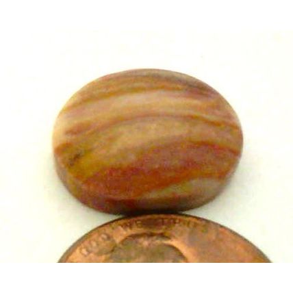Petrified Wood Freeform Gemstone Cabochon 296