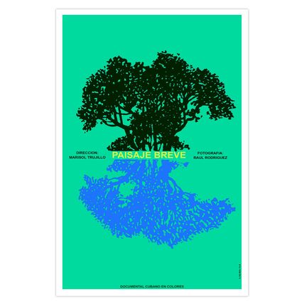 Movie Poster decor for"Paisaje BREVE.Fast Landscape"Art.Decorative room designs