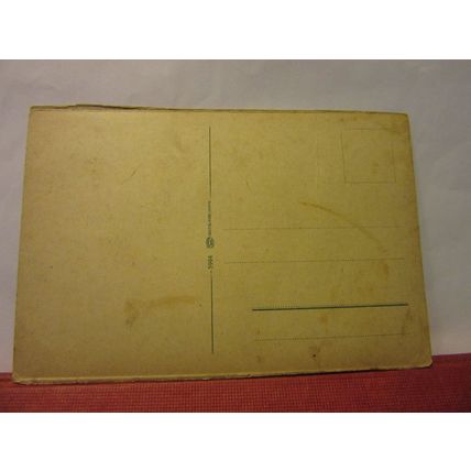 multiview, DER RHEIN, GERMANY unused antique postcard /