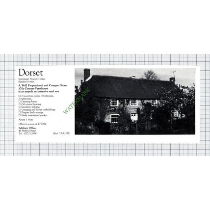 Sturminster Newton House Sale Advert - 1981 Cutting