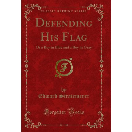 Defending His Flag: Or a Boy in Blue and a Boy in Gray (Classic Reprint)