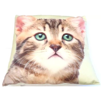 Tabby Kitten Cushion Decorative Photostyle 40 CM Home Decor Feline Pet Gift Meow