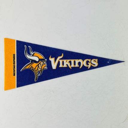 Minnesota Vikings NFL Football Team Mini Pennant Banner