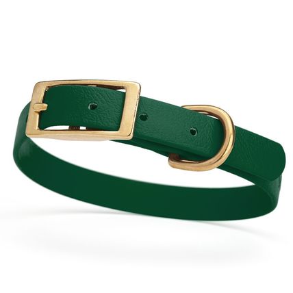 Dog Pet Collar with Brass Hardware Size S W 5/8” L 12” - 15” Hunter Green