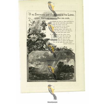 Showers & Dew Bless The Lord, Illustrated Poetry, R Wilton, Book Illustration