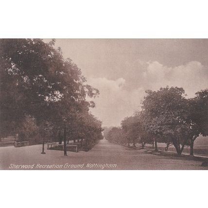 ED 444 NOTTINGHAM - SHERWOOD RECREATION GROUND . PRINTED POSTCARD
