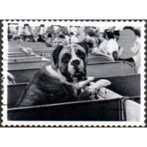 2001 Cats And Dogs.1st Value. Boxer at Dog Show.. Very Fine Used