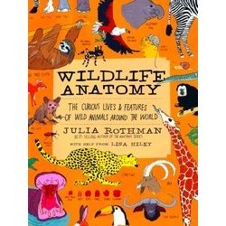 Wildlife Anatomy