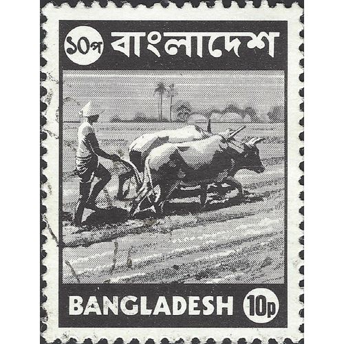 BANGLADESH, MAMMAL, Oxen ploughing, black 1976, 10p