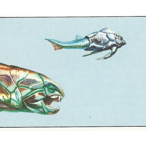 Panini's Dinosaurs Sticker Collection - Sticker No. 37