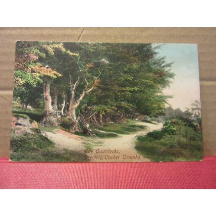 THE QUANTOCKS, COCKER COOMBE, SOMERSET used antique postcard by F. Frith #
