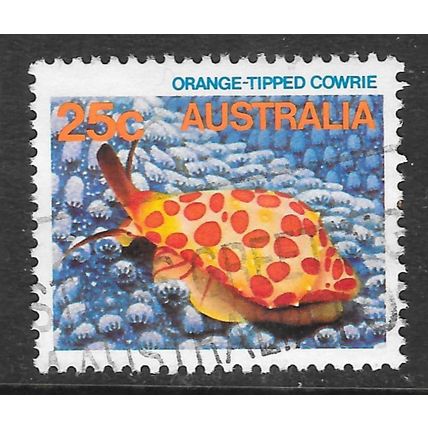 AUSTRALIA ORANGE TIPPED COWRIE SEALIFE SNAIL FISH USED