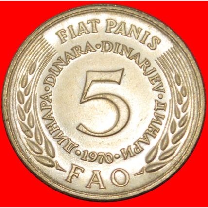 COMMUNIST STAR FAO:YUGOSLAVIA★5 DINARS 1970 UNC MINT LUSTRE★LOW START★NO RESERVE