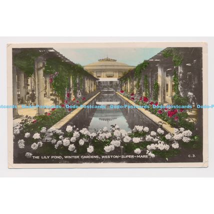 C014614 Weston Super Mare. The Lily Pond. Winter Gardens. H. J. Series. RP. 1933