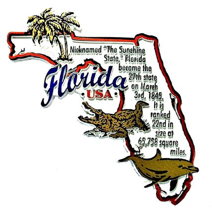 Florida The Sunshine State Outline Montage Fridge Magnet