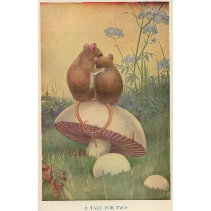 Mice Lovers A Tale For Two Medici Old Postcard