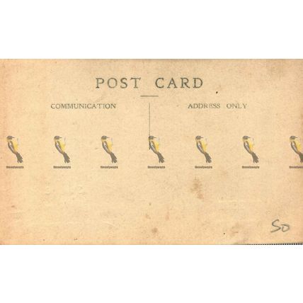 Royal Looking Boy, Social History Postcard