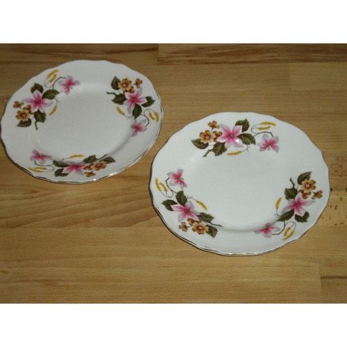 Two Crown Staffordshire Windermere Side Plates