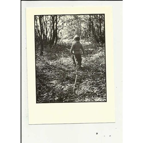 WALK IN THE WOODS (Dennis Mansell) Athena Postcard (650137)
