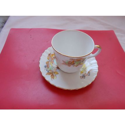 DORCHESTER CHINA X 1 TEA CUP WITH SAUCER (14/01)