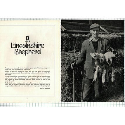John Brown Shepherd Horncastle Langton Old Woodhall Lincolnshire - 1970 Article