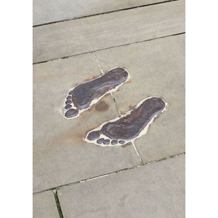 Antony Gormley Plant Footprints London Royal Academy Painting Postcard
