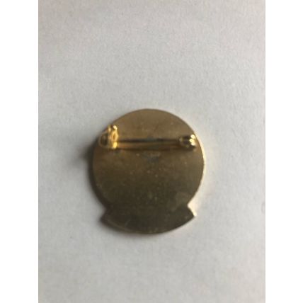 Oxfordshire vice presidents bowling assoc. 1988 bowling bowls badge