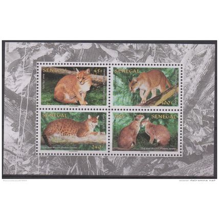 Sénégal 1997 WWF Chat doré Golden Cat Fauna Faune Mi. Block 76 RARE MNH