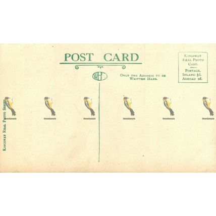Tor-O-Moor Tower, Woodhall Spa, Lincs, S981G Rare Kingsway RP Series Postcard