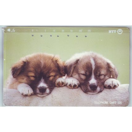 Puppies V6 Japan NTT Phone Card