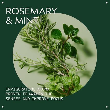 Aveda Rosemary Mint Purifying Shampoo | Clarifying Shampoo | Adds Shine | for No