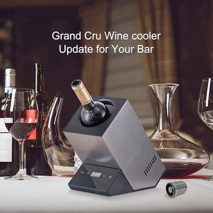Electric Wine Chiller, Single Bottle Cooler for 750Ml Wine or Some Champagne,Sta